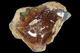 Precious, Ethiopian Fire Opal ( g) #190276-1
